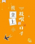 锦鲤太监在线掉马