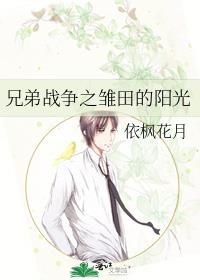 兄弟战争之日向爱