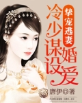 宠婚霸爱,冷少的独宠甜心