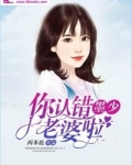 墨少,你认错老婆啦