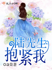 陆先生抱紧我百度网盘