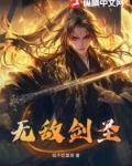 无极剑圣小说