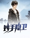 妙手隐卫