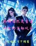 我妈居然是首富,叶天的京都风云