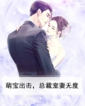 萌宝出击，总裁宠妻无度