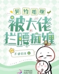 契约婚姻甜宠