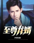 至尊龙婿短剧免费完整版