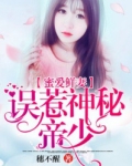 误惹神秘帝少