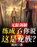 无限剑制练成了,你说这是龙族?笔趣阁免费阅读