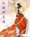 红楼群芳谱TXT小说