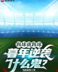 踢球ol