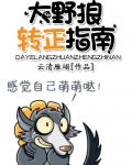 大野狼转正指南
