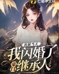出狱当天,我闪婚了豪门继承人 王太厚