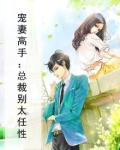 宠妻高手:总裁别太任性漫画