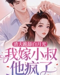 渣夫跪舔白月光,我嫁小叔他疯了小说