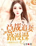 蜜爱百分百:总裁追妻路漫漫