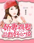 娇妻难撩总裁请珍惜