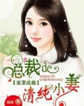 宠妻成瘾，总裁的清纯小妻