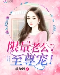 国民老公限量宠 小说