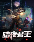 暗夜君王