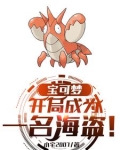 宝可梦:我的精灵全员恶人!