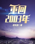 重回2003年TXT下载百度云