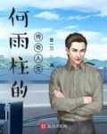 何雨柱的传奇人生