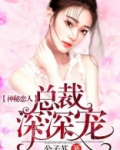神秘恋人总裁深深宠高歌免费阅读