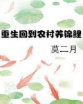 重生回到农村养锦鲤