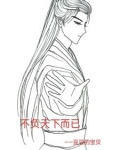 不负天下而已是什么歌