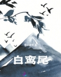 白鸾尾