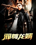 至尊龙婿归来