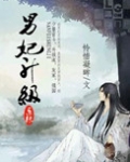 男妃升级系统有声小说