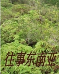 从缅北回来被专案组带走