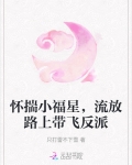 怀揣小福星,流放路上带飞反派免费阅读