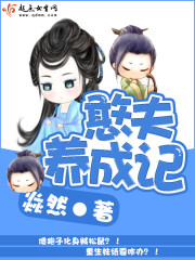 憨夫小说