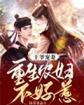 王爷宠妻:重生农妇不好惹
