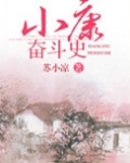 小康奋斗史