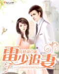 雷少追妻