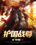护国战尊电视剧全集免费观看高清