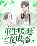 重生之宠妻成瘾