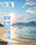 人家出海讨生活我出海进货