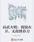 锦衣卫之高武大明txt