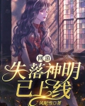 失落叶新网游小说