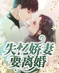 失忆娇妻要离婚