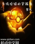 系统给错的穿越者 小说