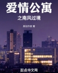 爱情公寓之南风过境笔趣阁