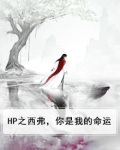 HP之西弗，你是我的命运