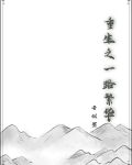 重生之一路繁华免费阅读