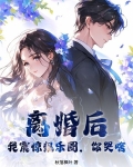 离婚后我火爆娱乐圈 小说